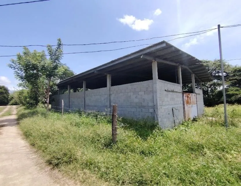 13.6 ha poultry farm with river, Natá, Coclé