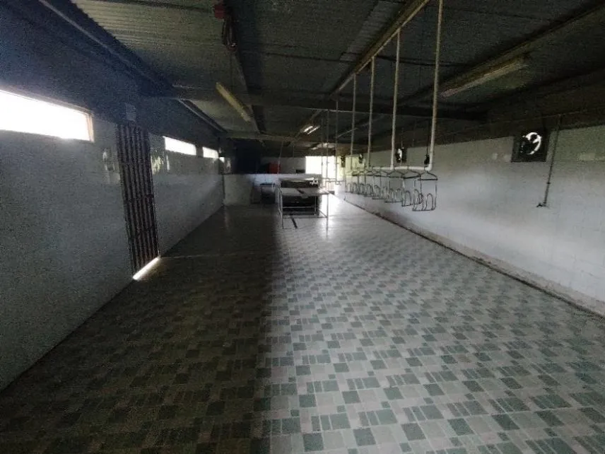 13.6 ha poultry farm with river, Natá, Coclé