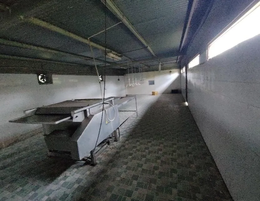 13.6 ha poultry farm with river, Natá, Coclé