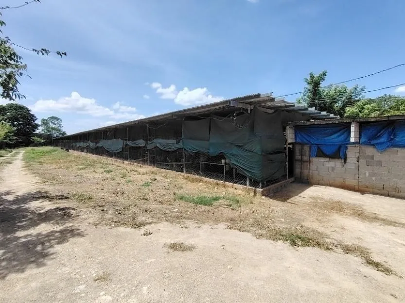 13.6 ha poultry farm with river, Natá, Coclé