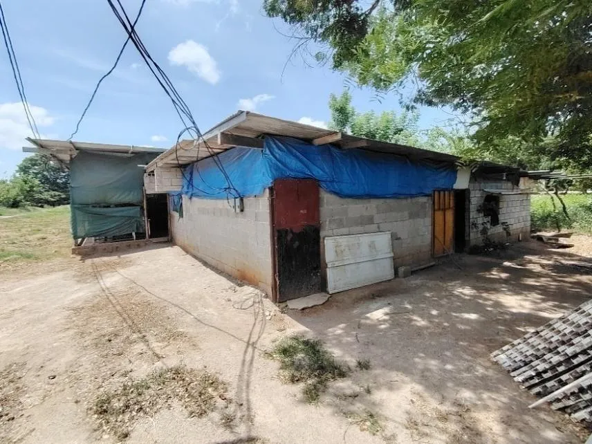 13.6 ha poultry farm with river, Natá, Coclé