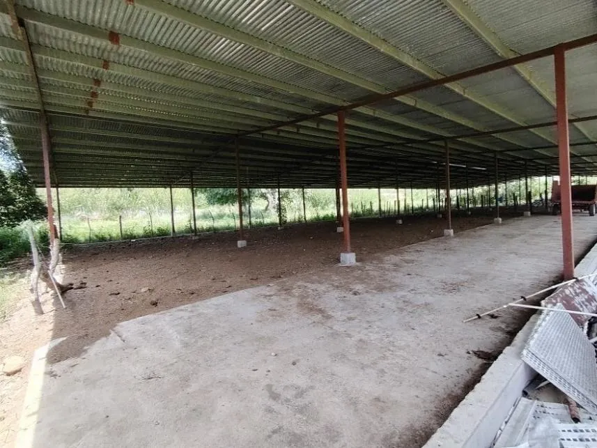 13.6 ha poultry farm with river, Natá, Coclé