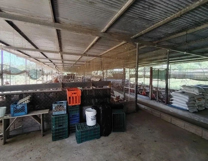 13.6 ha poultry farm with river, Natá, Coclé
