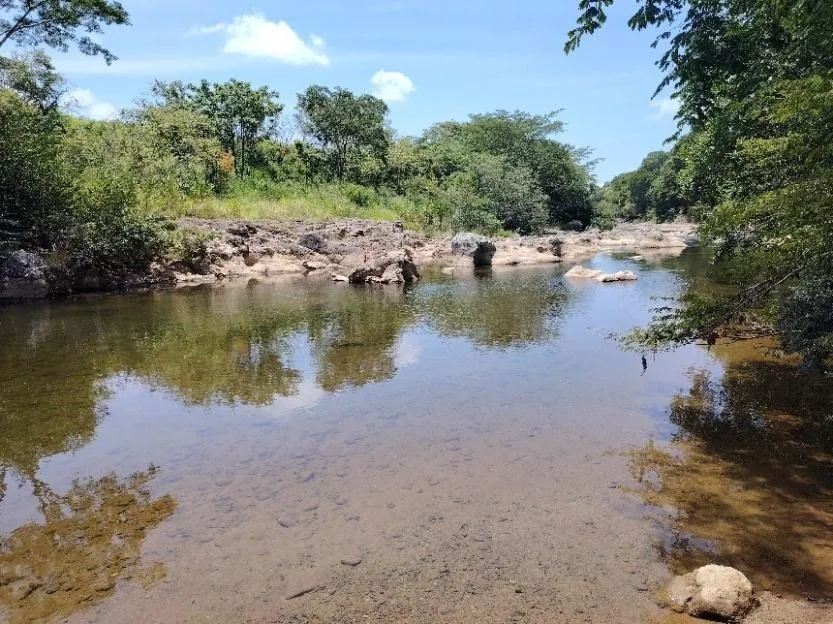 13.6 ha poultry farm with river, Natá, Coclé