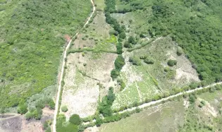 8.96 ha land in El Otoal, Natá, Coclé