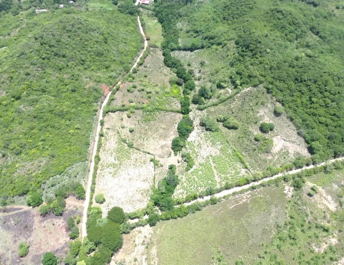 8.96 ha land in El Otoal, Natá, Coclé