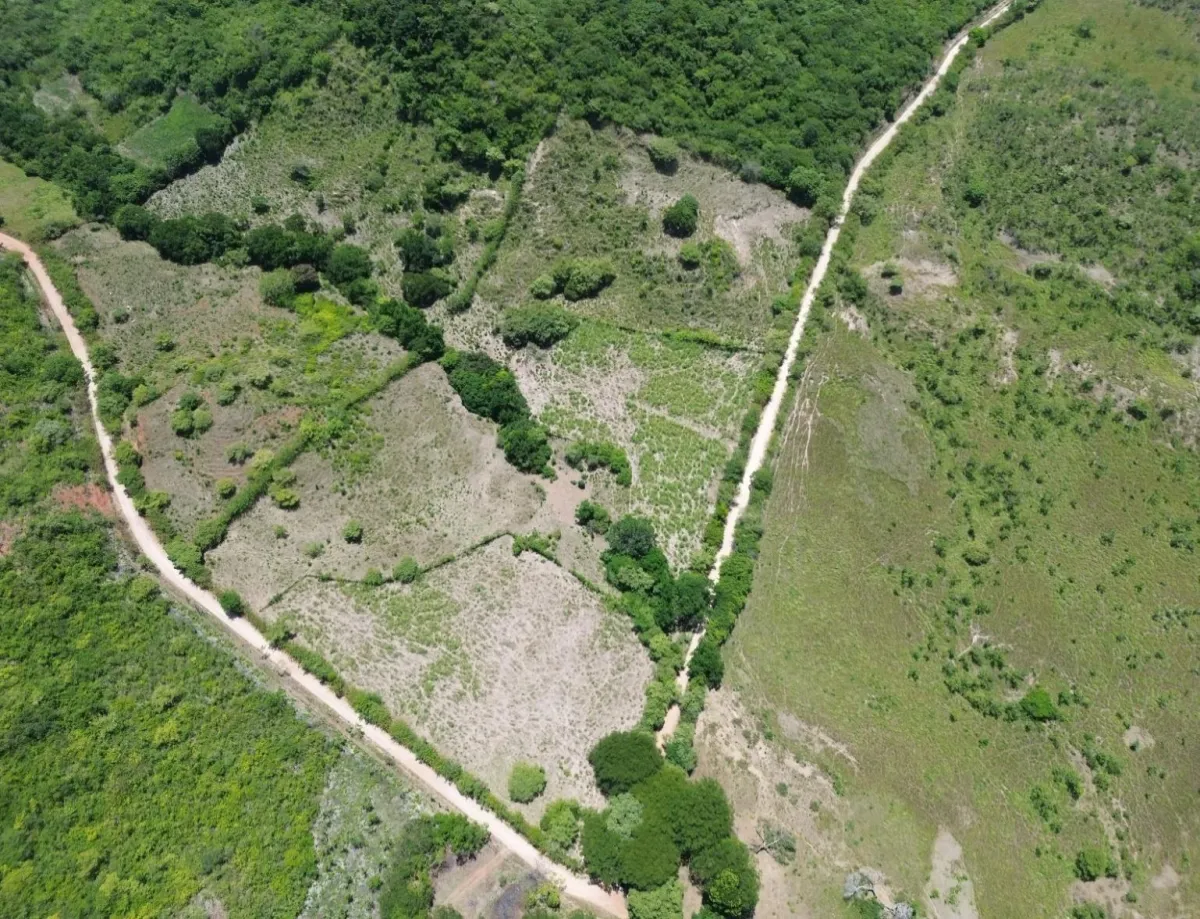 8.96 ha land in El Otoal, Natá, Coclé