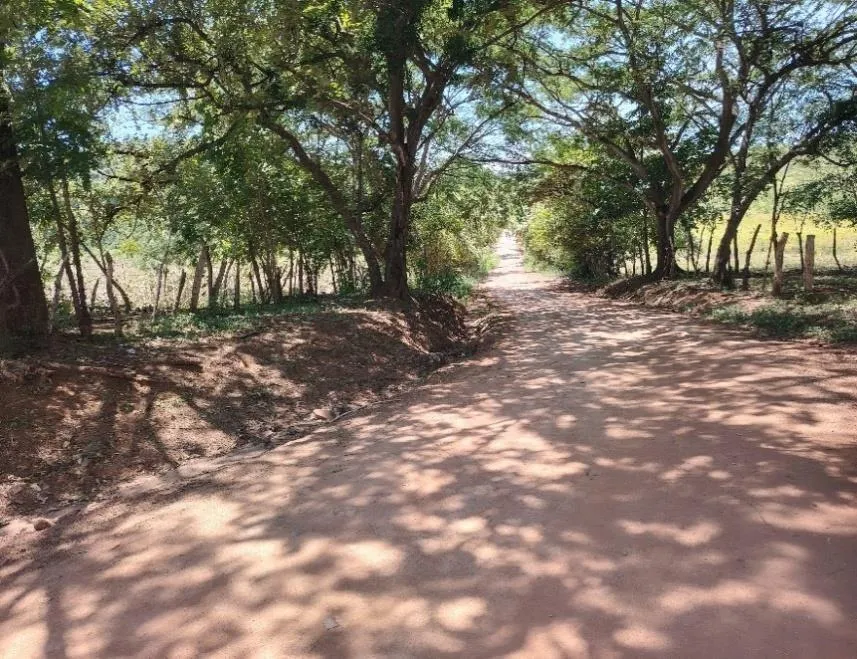 8.96 ha land in El Otoal, Natá, Coclé
