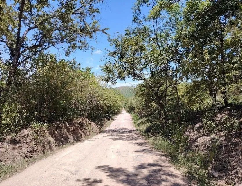 8.96 ha land in El Otoal, Natá, Coclé
