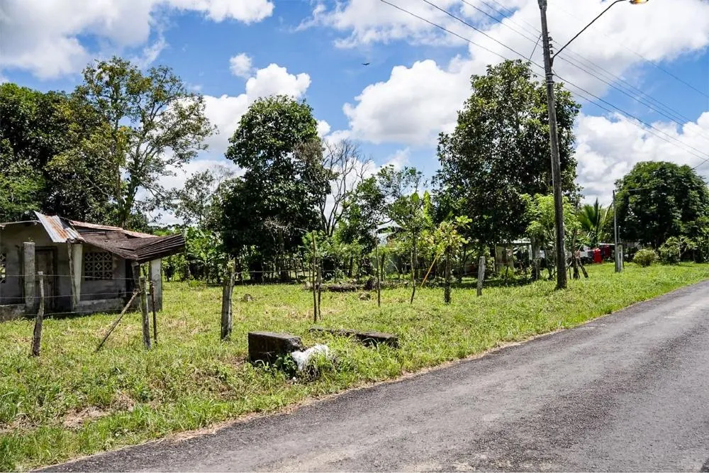 Flat Land for Sale in Bijugual, Bugaba Chiriqui