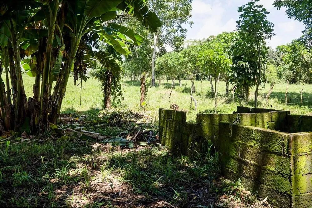 Flat Land for Sale in Bijugual, Bugaba Chiriqui