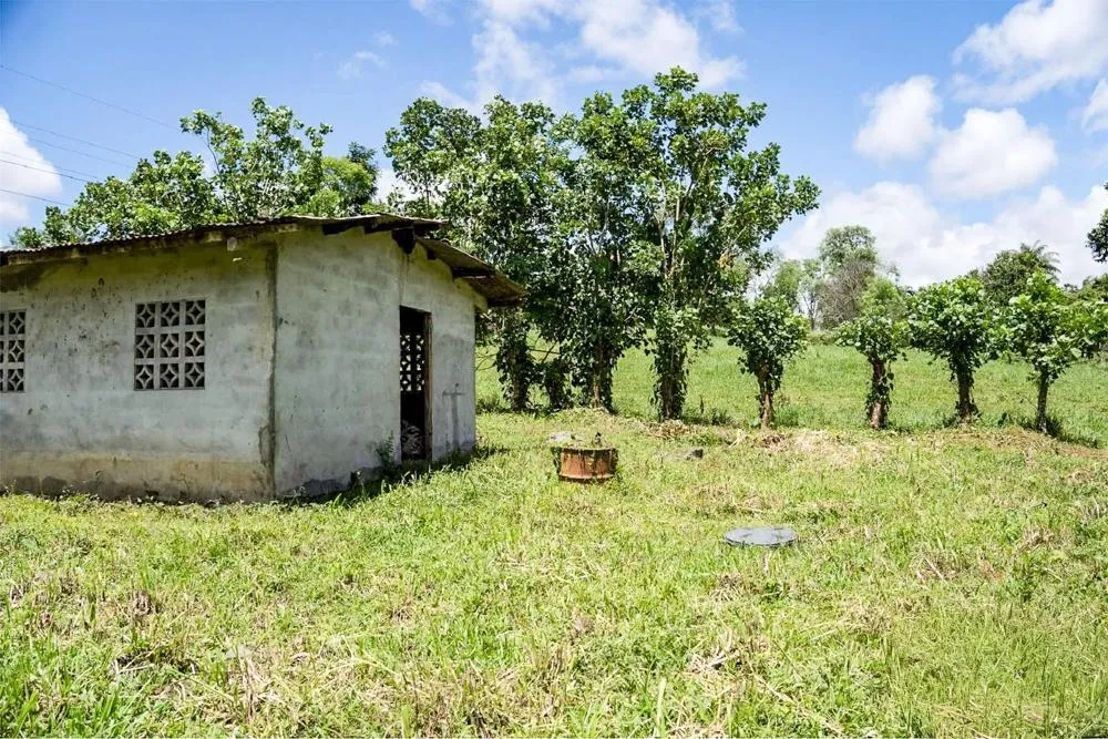 Flat Land for Sale in Bijugual, Bugaba Chiriqui