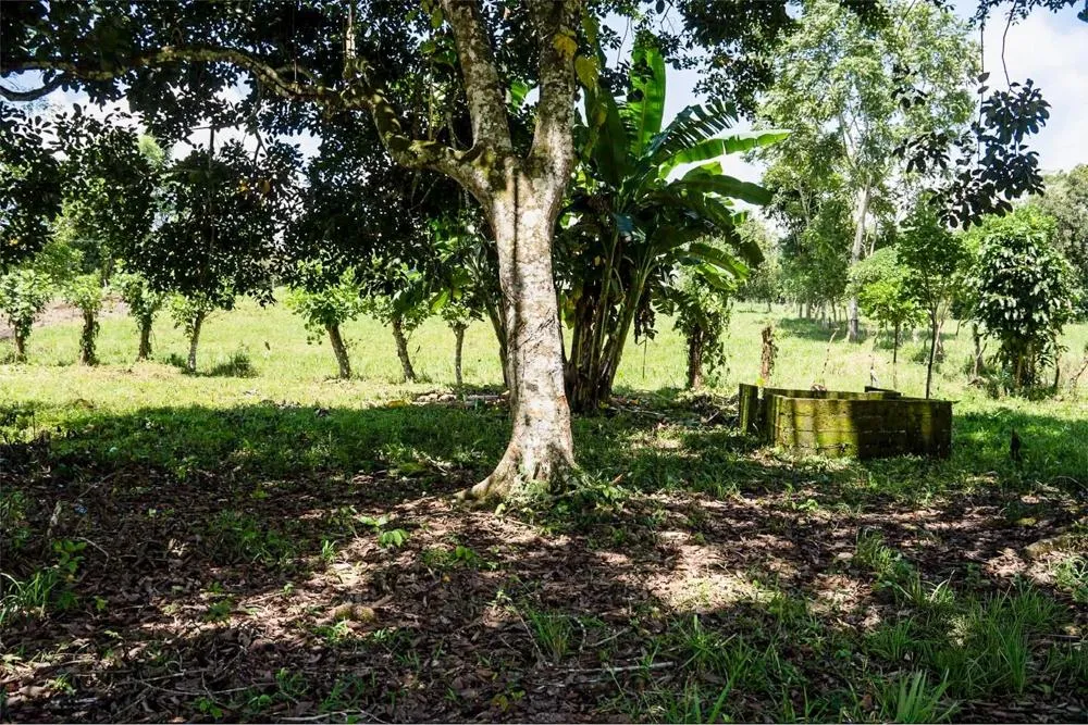 Flat Land for Sale in Bijugual, Bugaba Chiriqui