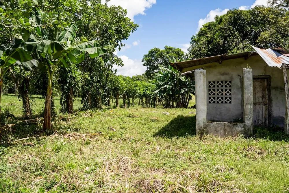 Flat Land for Sale in Bijugual, Bugaba Chiriqui