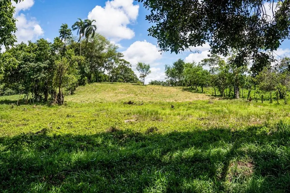 Flat Land for Sale in Bijugual, Bugaba Chiriqui