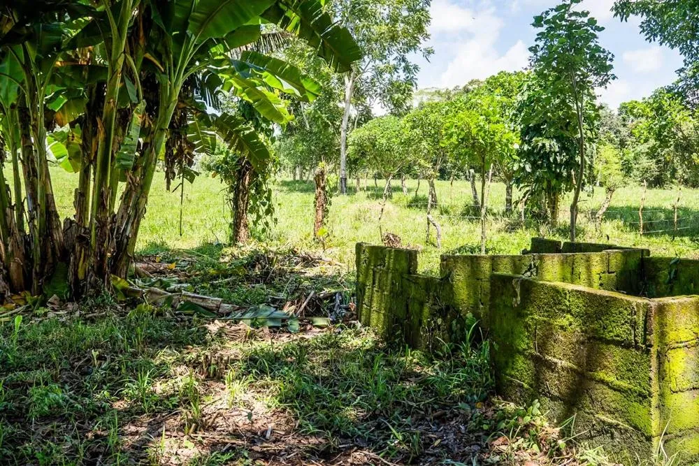 Flat Land for Sale in Bijugual, Bugaba Chiriqui