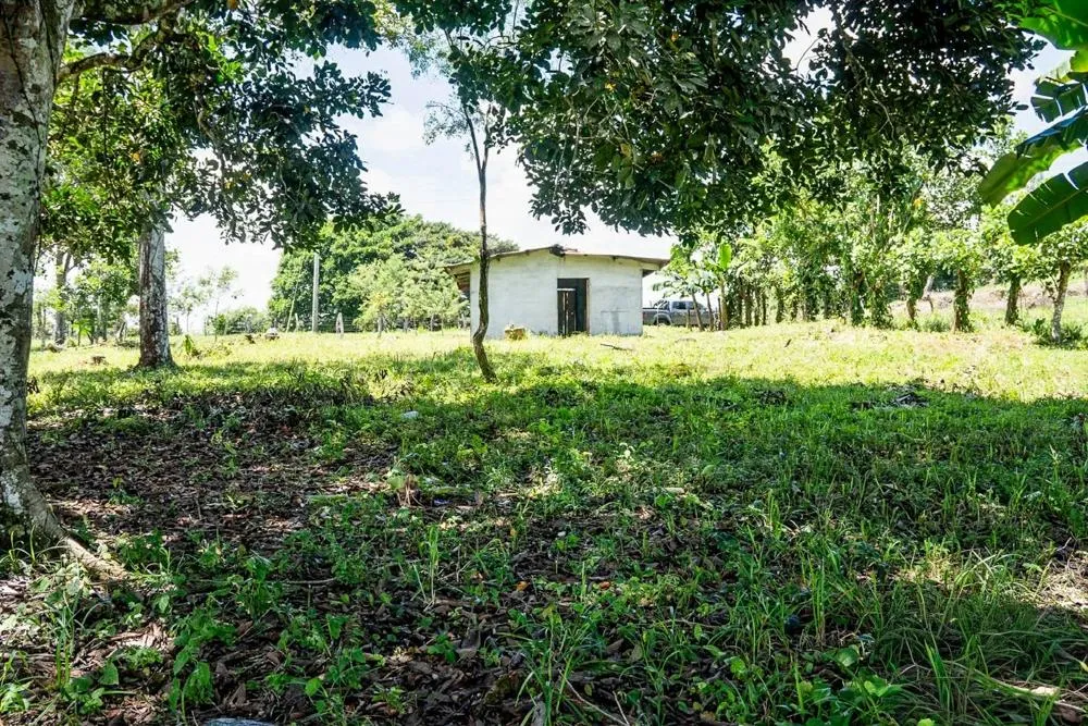 Flat Land for Sale in Bijugual, Bugaba Chiriqui