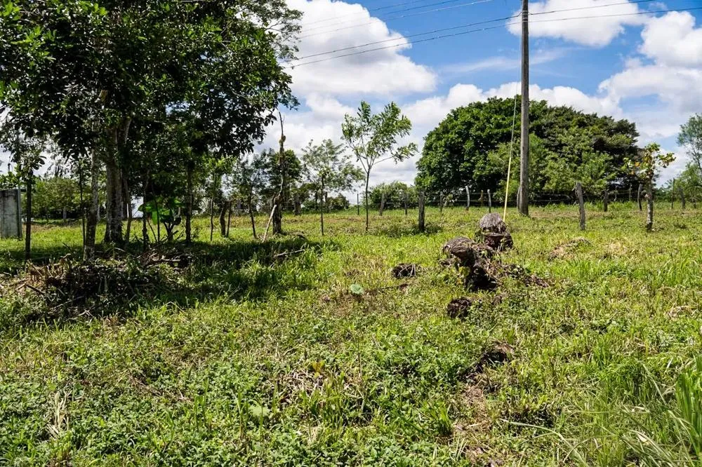 Flat Land for Sale in Bijugual, Bugaba Chiriqui