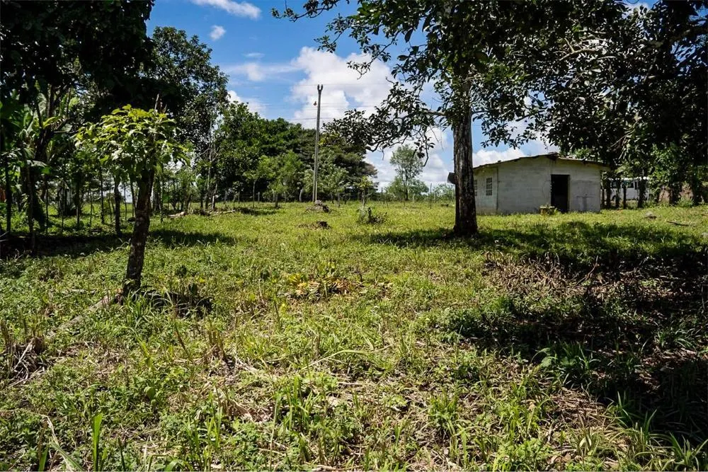 Flat Land for Sale in Bijugual, Bugaba Chiriqui