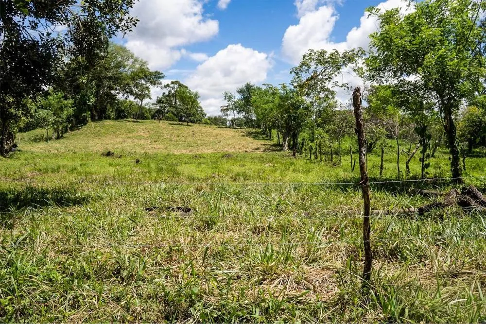 Flat Land for Sale in Bijugual, Bugaba Chiriqui