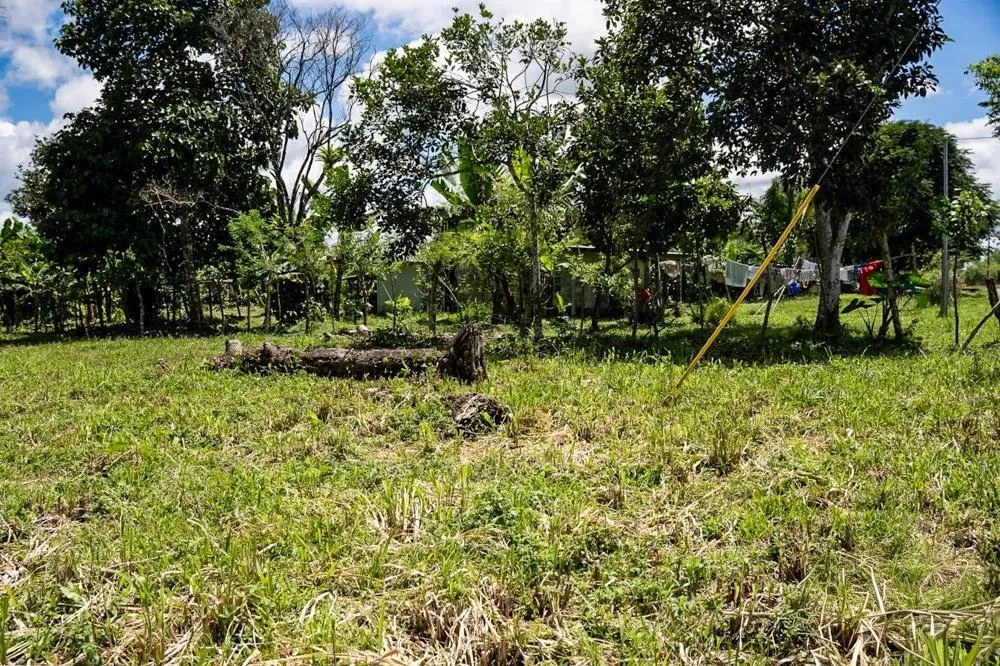 Flat Land for Sale in Bijugual, Bugaba Chiriqui