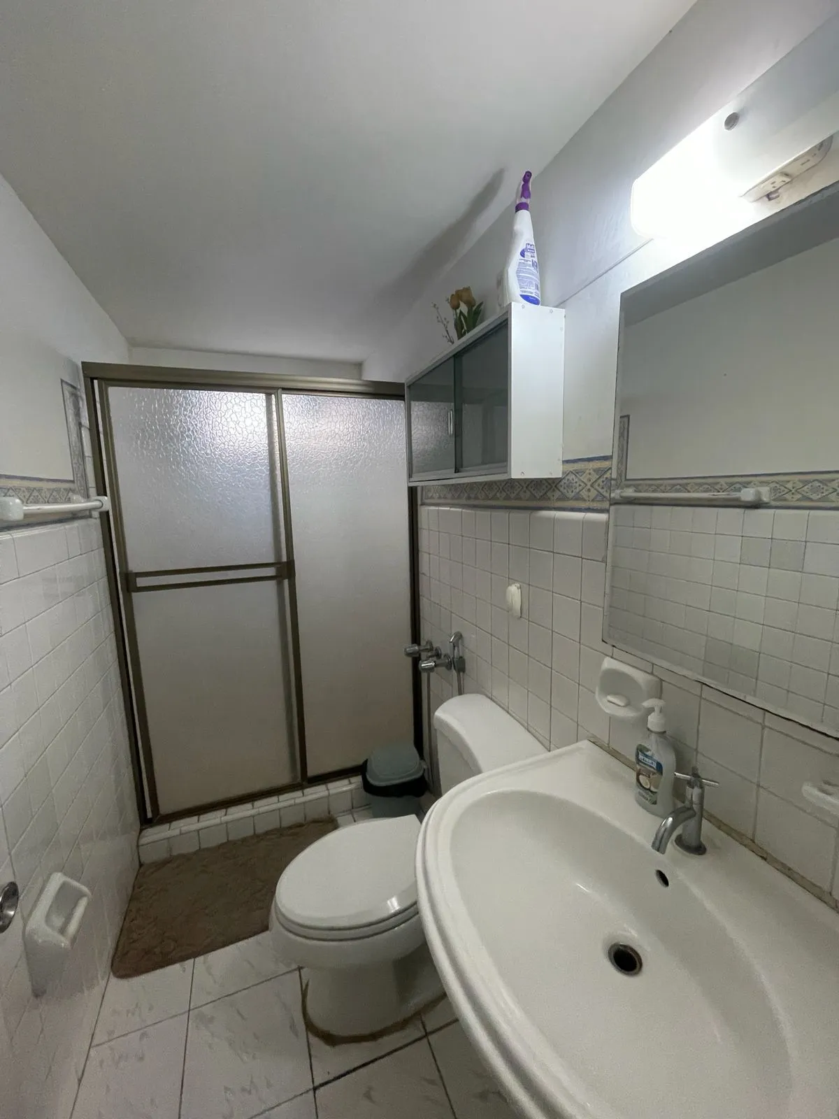 Apartment for sale in PH Alvin -  El Carmen