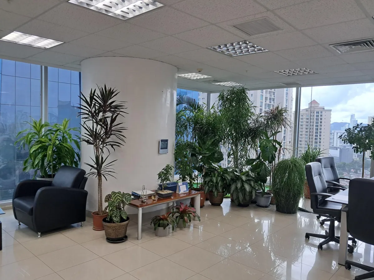 OPORTUNIDAD: VENTA DE OFICINA EN PUNTA PACÍFICA