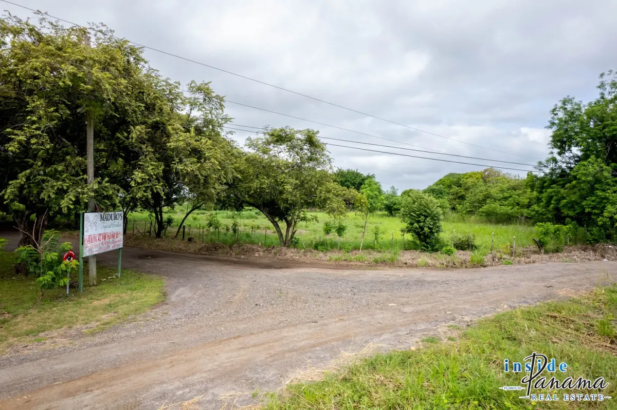 Perfect Homesite Lot For Sale in Bejuco Chame Panama