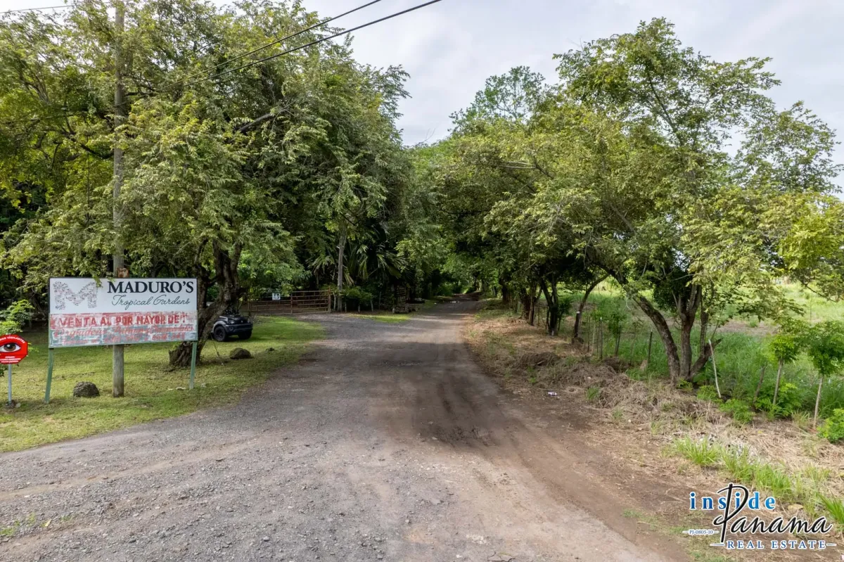 Perfect Homesite Lot For Sale in Bejuco Chame Panama