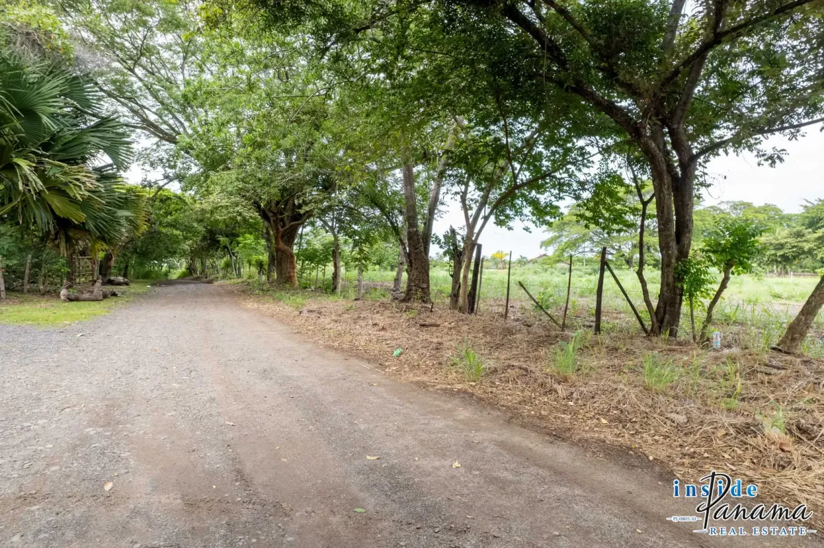 Lot For Sale in Bejuco Chame Panama Oeste