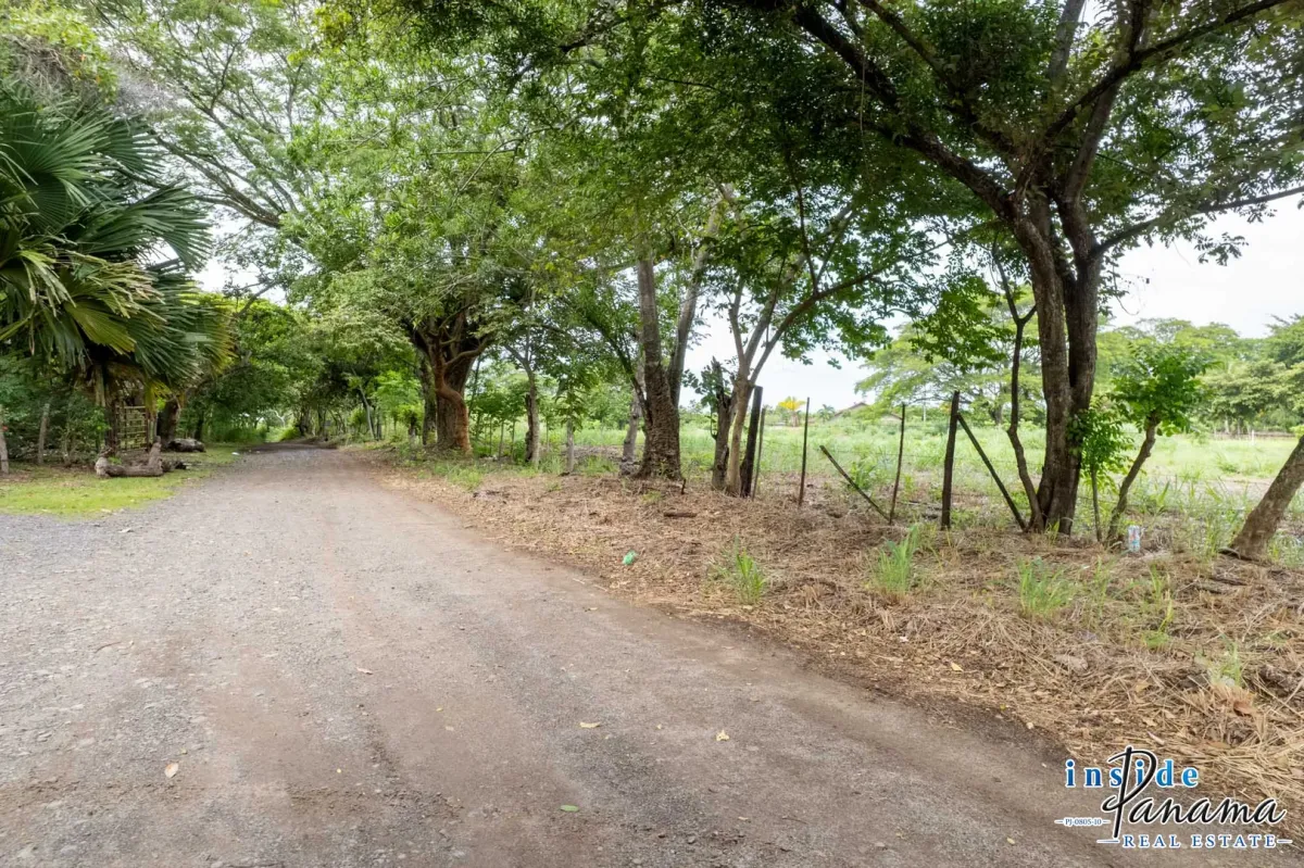Flat Lot For Sale in Bejuco Chame Panama