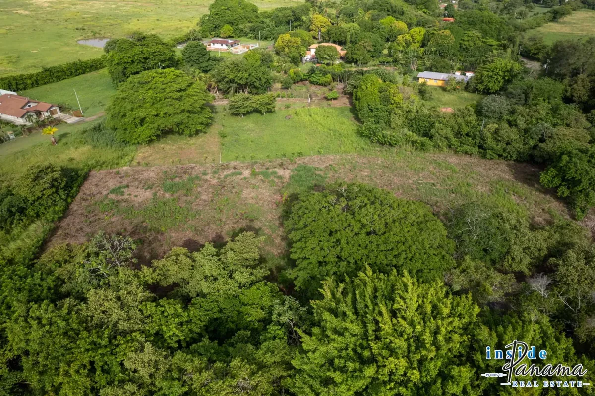 Flat Lot For Sale in Bejuco Chame Panama