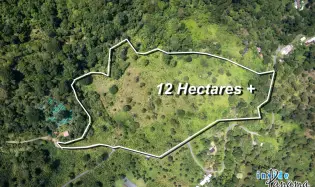 Producing Coffee Farm For Sale in Horqueta Boquete Panama