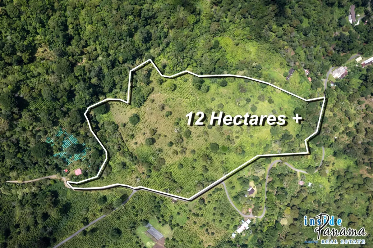 Producing Coffee Farm For Sale in Horqueta Boquete Panama