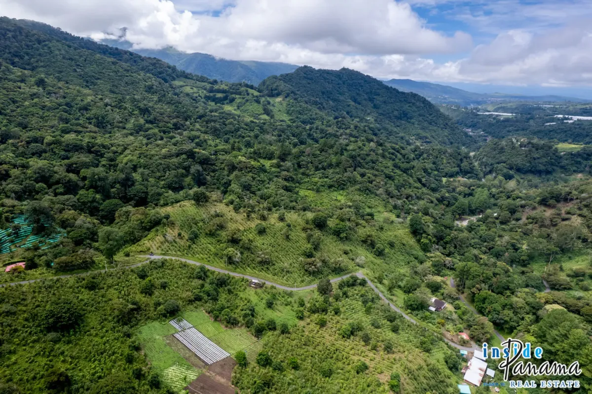 Producing Coffee Farm For Sale in Horqueta Boquete Panama