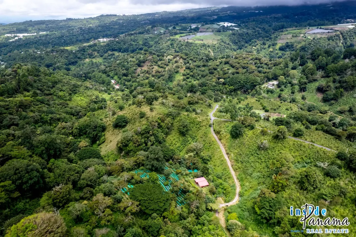 Producing Coffee Farm For Sale in Horqueta Boquete Panama