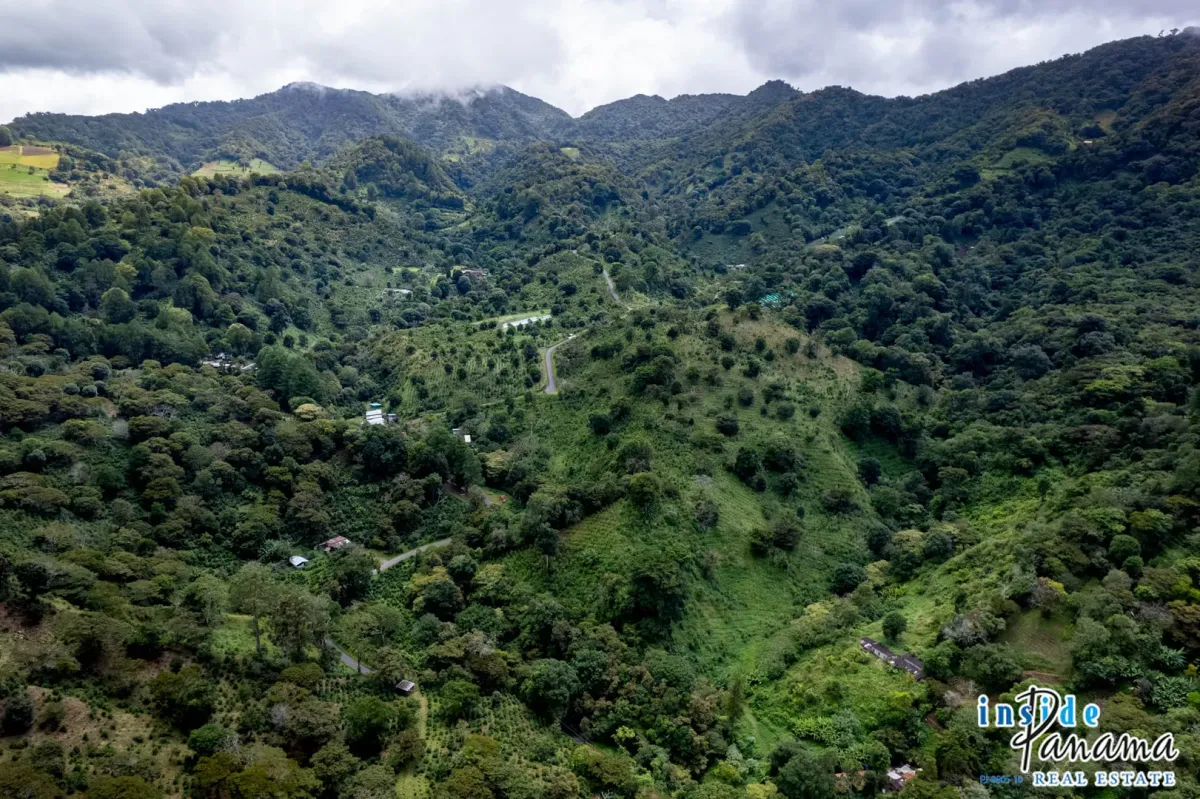 Producing Coffee Farm For Sale in Horqueta Boquete Panama