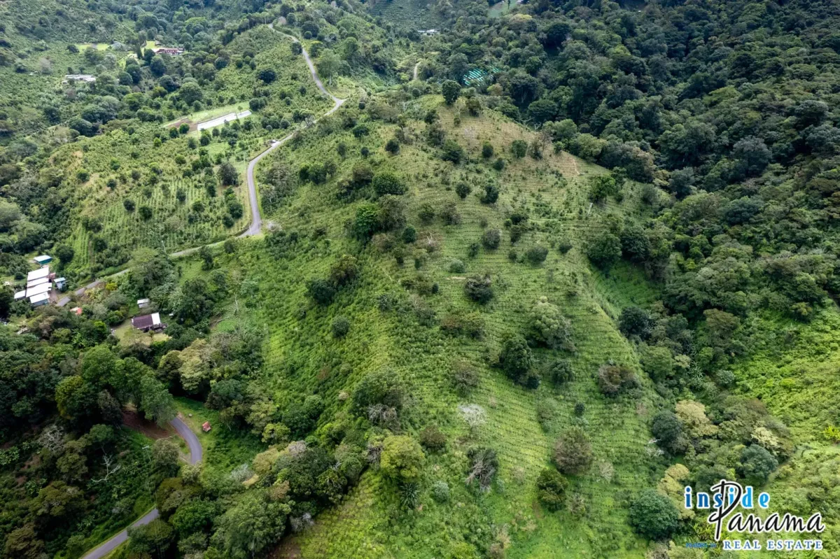 Producing Coffee Farm For Sale in Horqueta Boquete Panama
