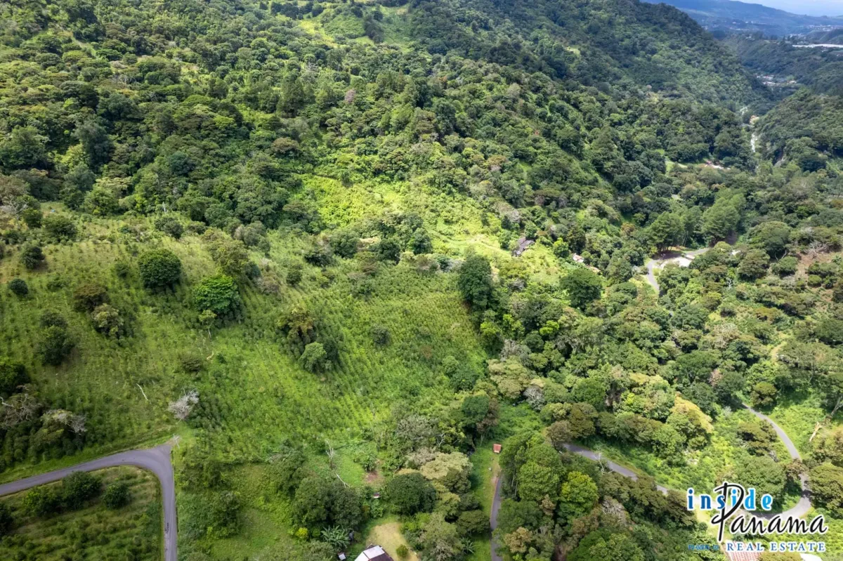 Producing Coffee Farm For Sale in Horqueta Boquete Panama