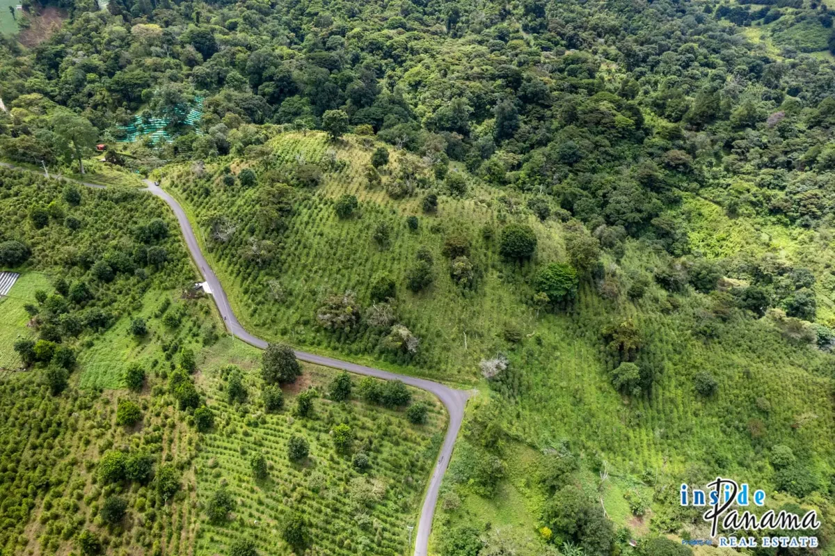 Producing Coffee Farm For Sale in Horqueta Boquete Panama