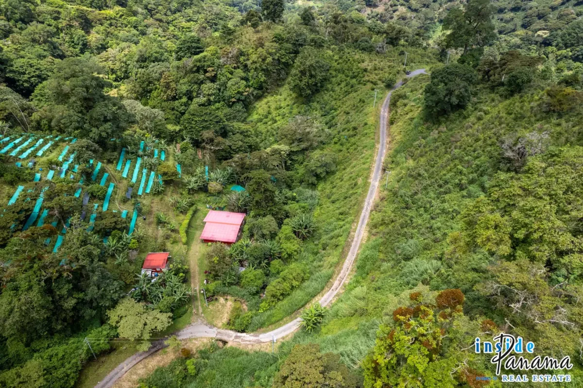 Producing Coffee Farm For Sale in Horqueta Boquete Panama