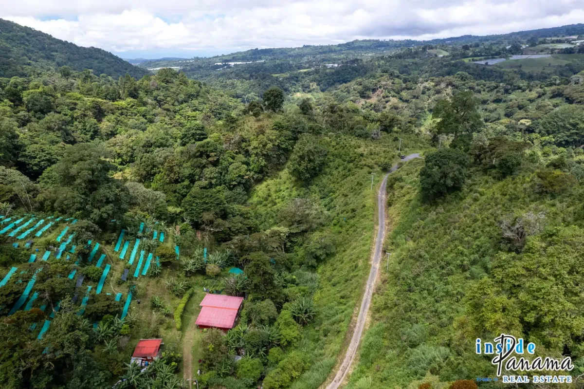 Producing Coffee Farm For Sale in Horqueta Boquete Panama