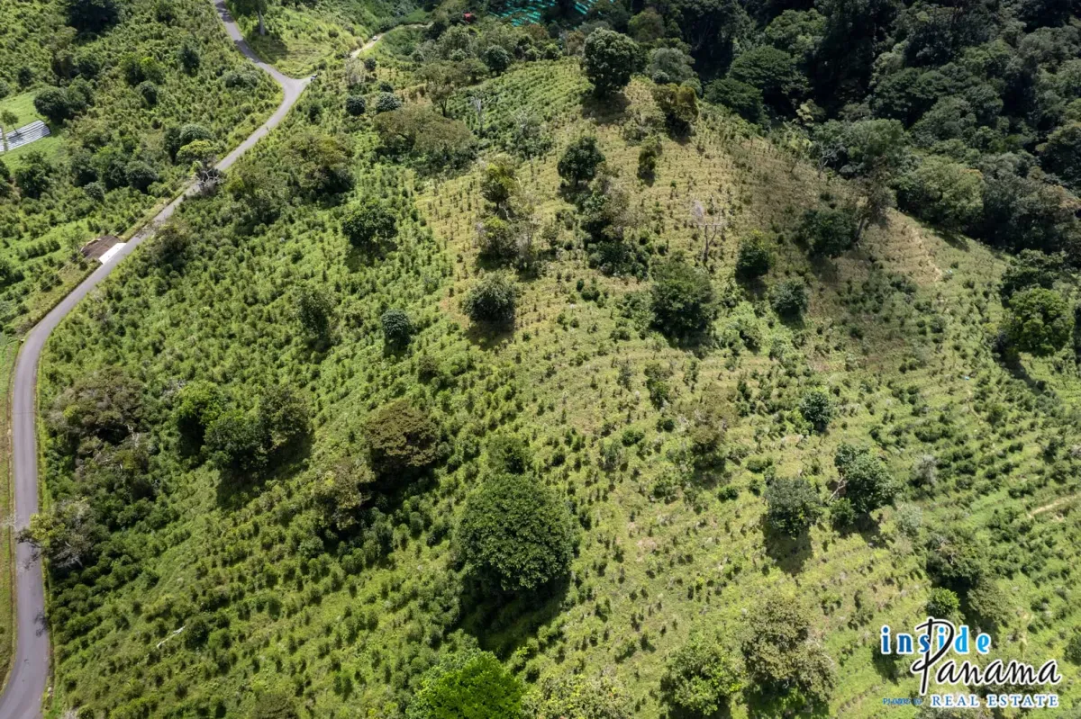 Producing Coffee Farm For Sale in Horqueta Boquete Panama