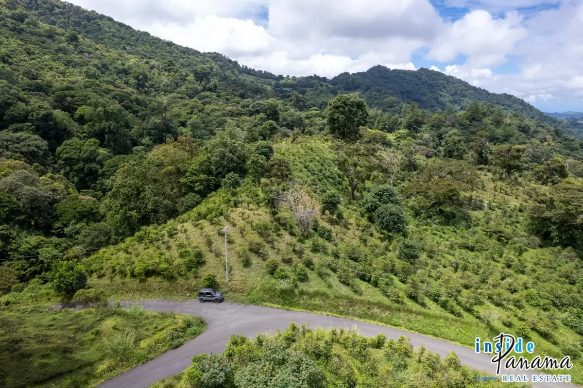Producing Coffee Farm For Sale in Horqueta Boquete Panama