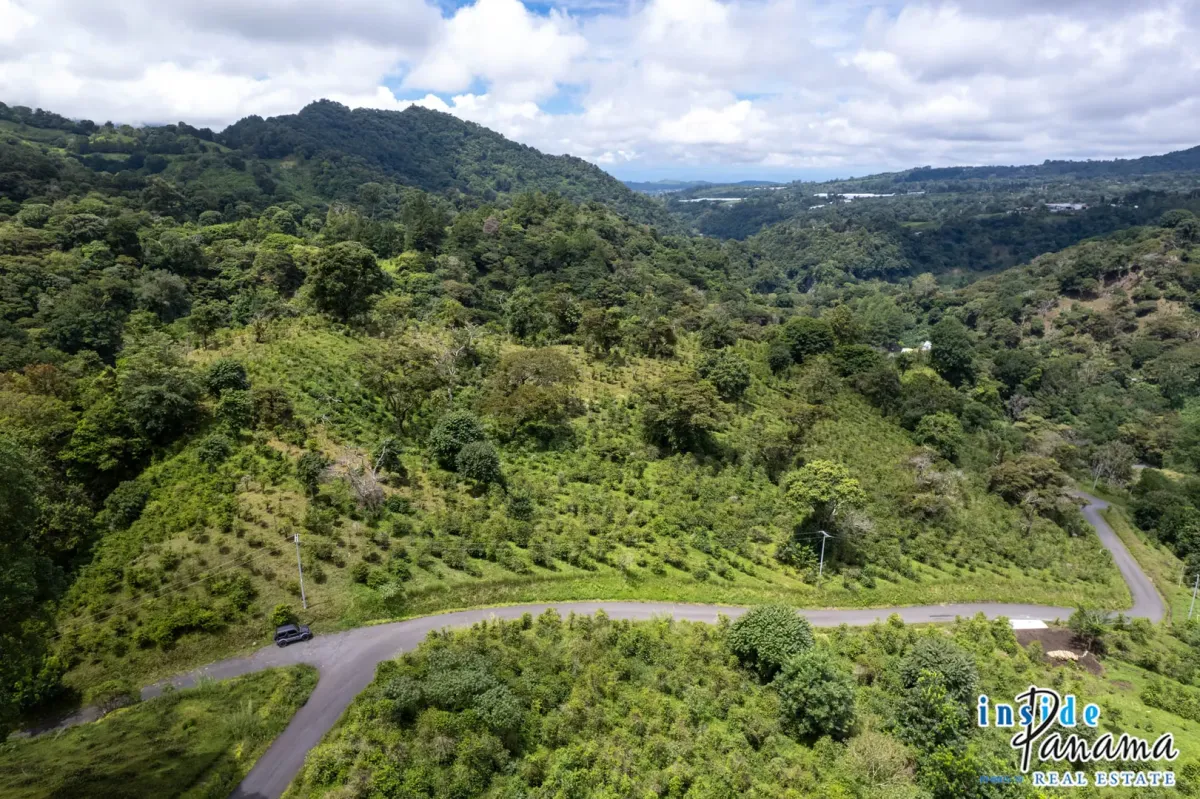 Producing Coffee Farm For Sale in Horqueta Boquete Panama