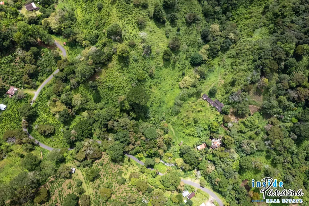 Producing Coffee Farm For Sale in Horqueta Boquete Panama