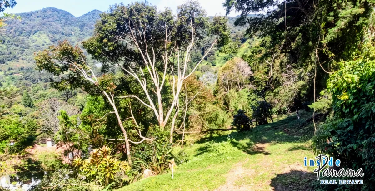 Residential Lot for sale in Palo Alto Boquete Chiriqui Panama