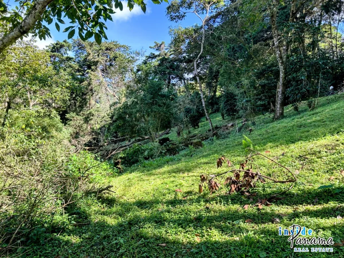 Residential Lot for sale in Palo Alto Boquete Chiriqui Panama
