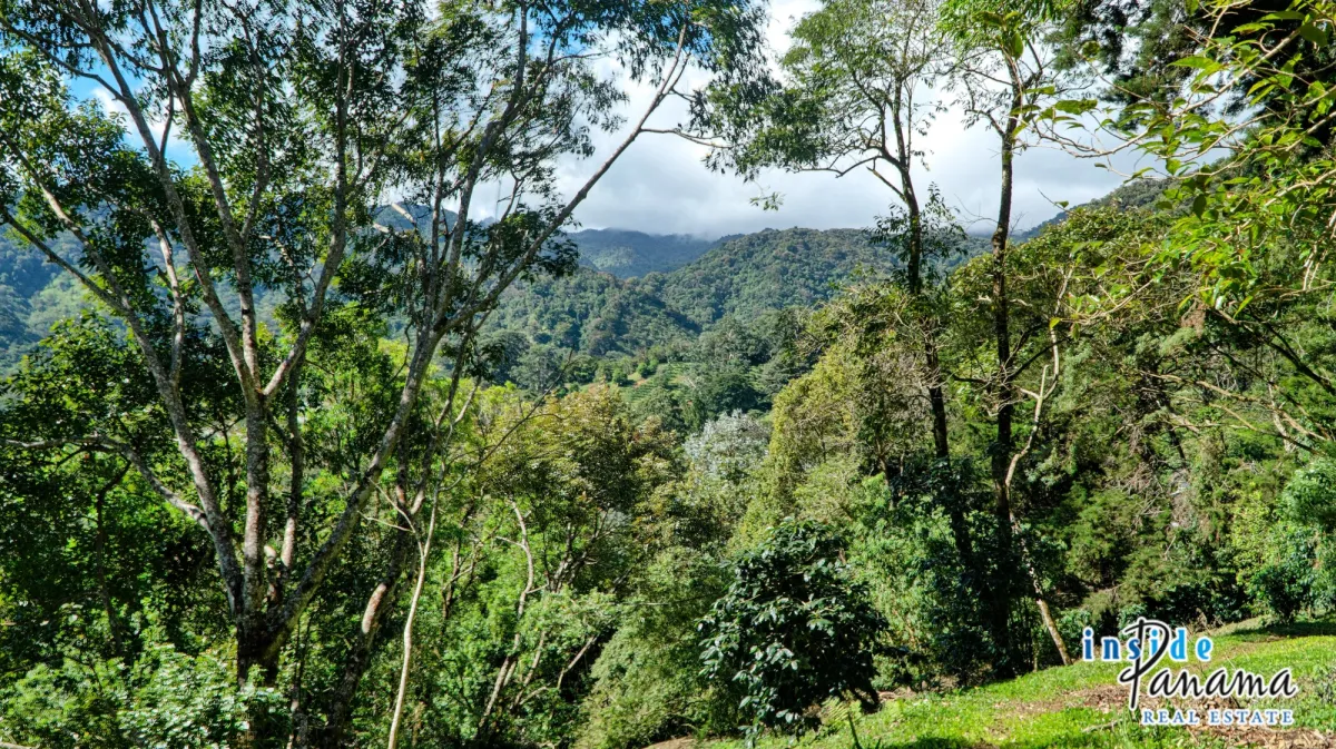 Residential Lot for sale in Palo Alto Boquete Chiriqui Panama