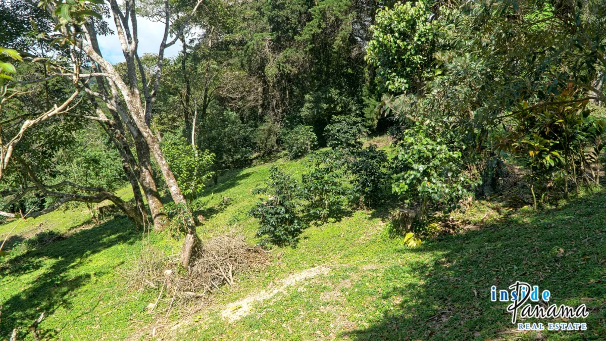Residential Lot for sale in Palo Alto Boquete Chiriqui Panama